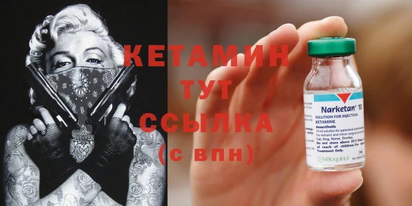 трава Богородицк