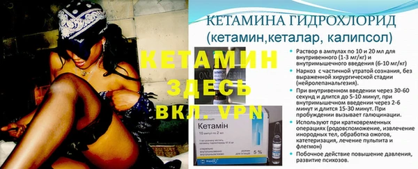 трава Богородицк