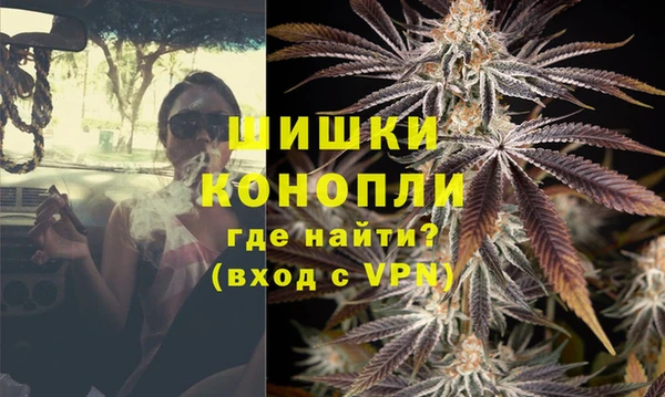 стафф Богородск