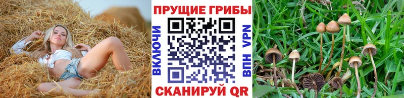 Галлюциногенные грибы мухоморы сколько стоит Курильск